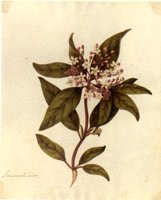 CGA51427.JPG