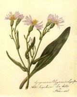 CGA51417.JPG