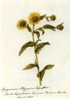 CGA51412.JPG