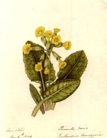 CGA51402.JPG
