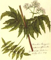 CGA51397.JPG