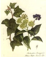 CGA51389.JPG