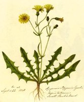 CGA51388.JPG