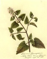 CGA51387.JPG