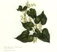 CGA51375.JPG
