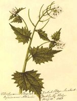 CGA51372.JPG