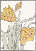 CGA51323.JPG