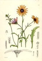 CGA51317.JPG