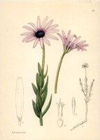CGA51316.JPG
