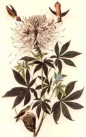 CGA51251.JPG