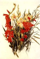 CGA51231.JPG
