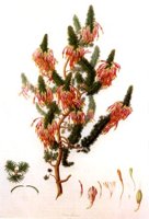 CGA51211.JPG