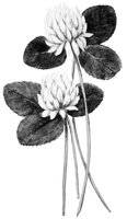 CGA51187.JPG