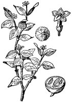 CGA51183.JPG