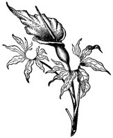 CGA51182.JPG