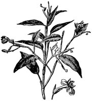 CGA51181.JPG