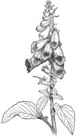 CGA51180.JPG