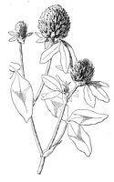 CGA51179.JPG