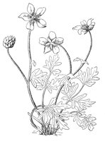CGA51178.JPG