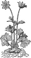 CGA51167.TIF