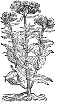 CGA51164.TIF