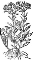 CGA51163.TIF