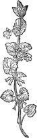 CGA51161.TIF