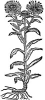 CGA51157.TIF