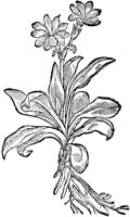 CGA51156.TIF