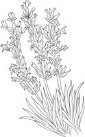 CGA51147.TIF