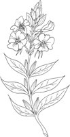 CGA51146.TIF