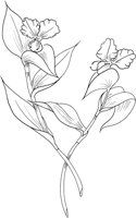 CGA51145.TIF