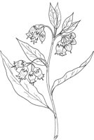 CGA51144.TIF