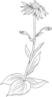 CGA51141.TIF