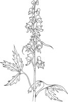 CGA51140.TIF
