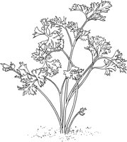 CGA51139.TIF