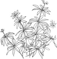 CGA51131.TIF