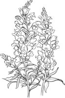 CGA51130.TIF