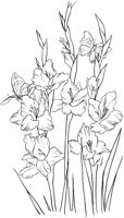 CGA51128.TIF