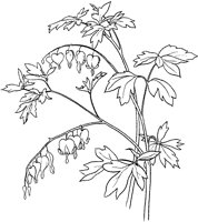 CGA51126.TIF