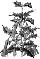 CGA51124.TIF