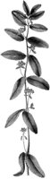 CGA51121.TIF