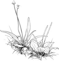 CGA51115.TIF