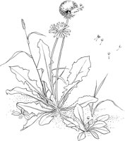 CGA51114.TIF