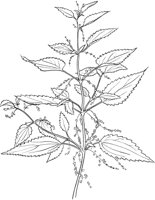 CGA51111.TIF