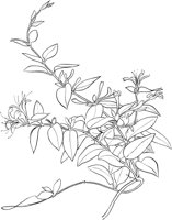 CGA51109.TIF