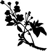 CGA51105.TIF