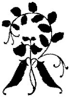 CGA51088.TIF