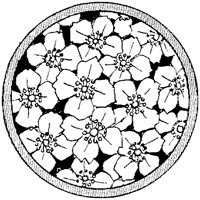 CGA51076.TIF