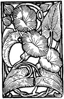 CGA51072.TIF